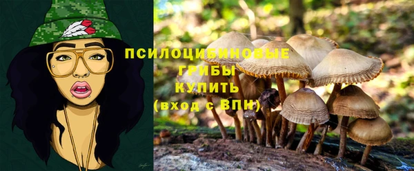 СК Осташков