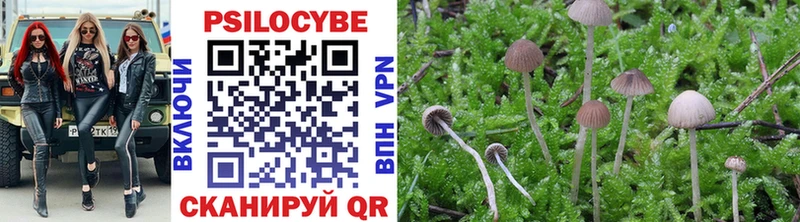 Галлюциногенные грибы Psilocybine cubensis  Удачный 
